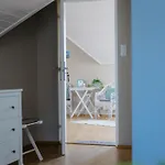 Pihi Pensión 3*