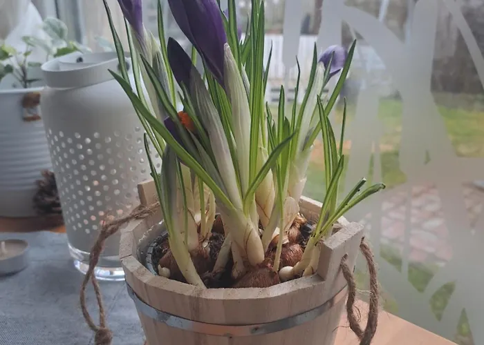 Pihi Vendeghaz Konukevi 4*
